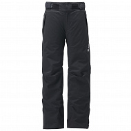 Штани чоловічі гірськолижні Goldwin Stream Pants