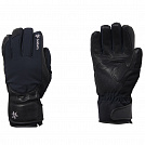 Рукавиці гірськолижні Goldwin Flex