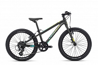 Велосипед Orbea MX 20 TEAM 19
